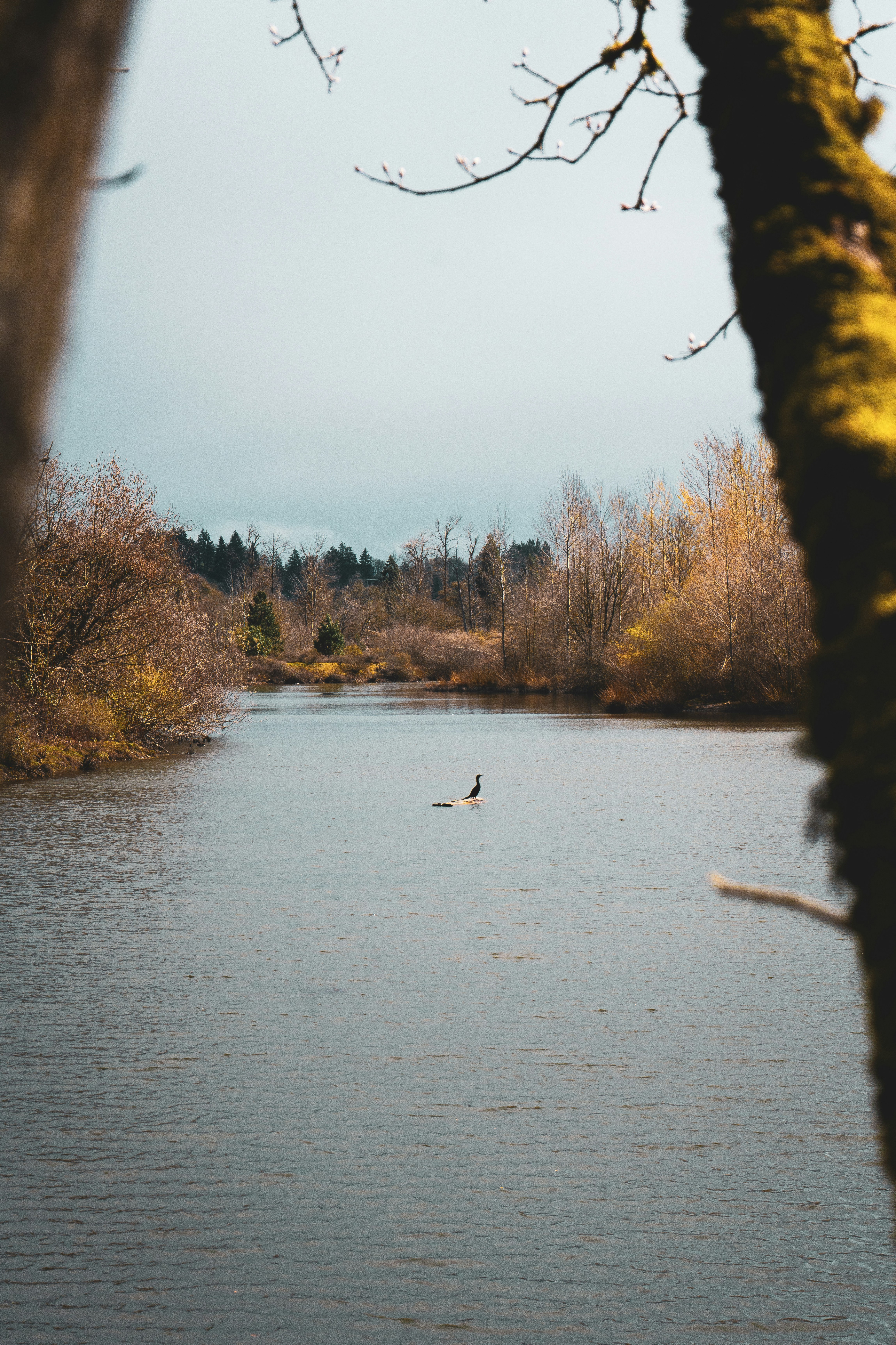 Prineville Housing Market Snapshot