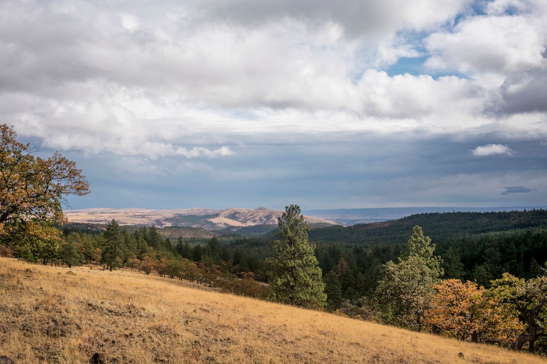 Pronghorn, Bend