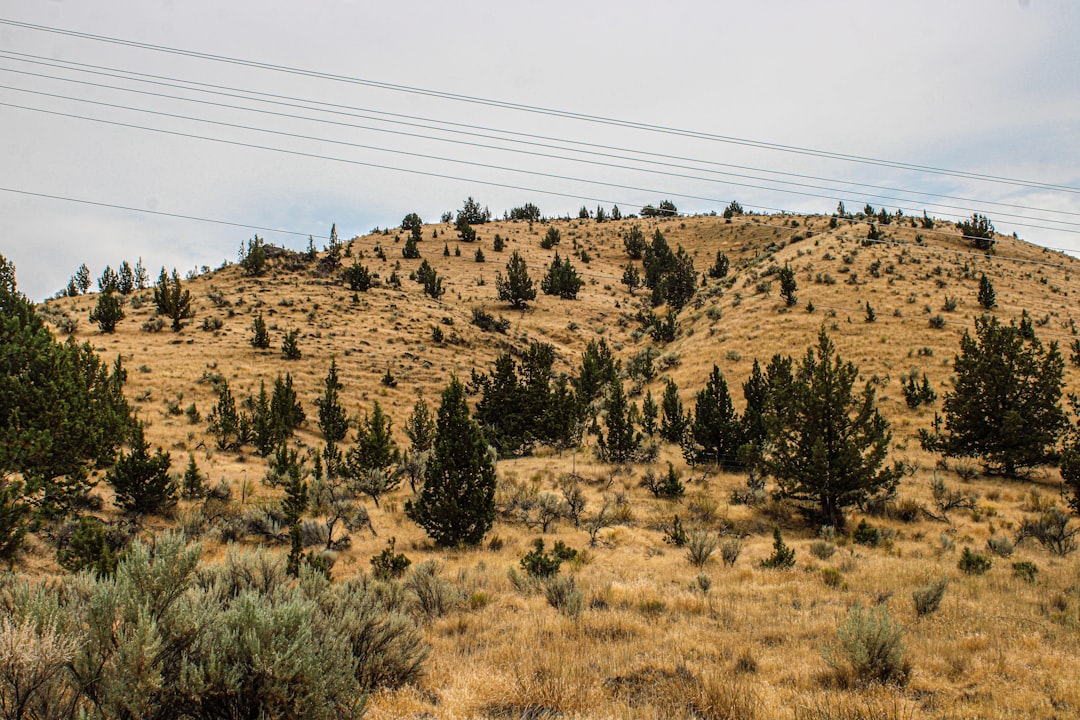 Out of Area - See Remarks, La Pine